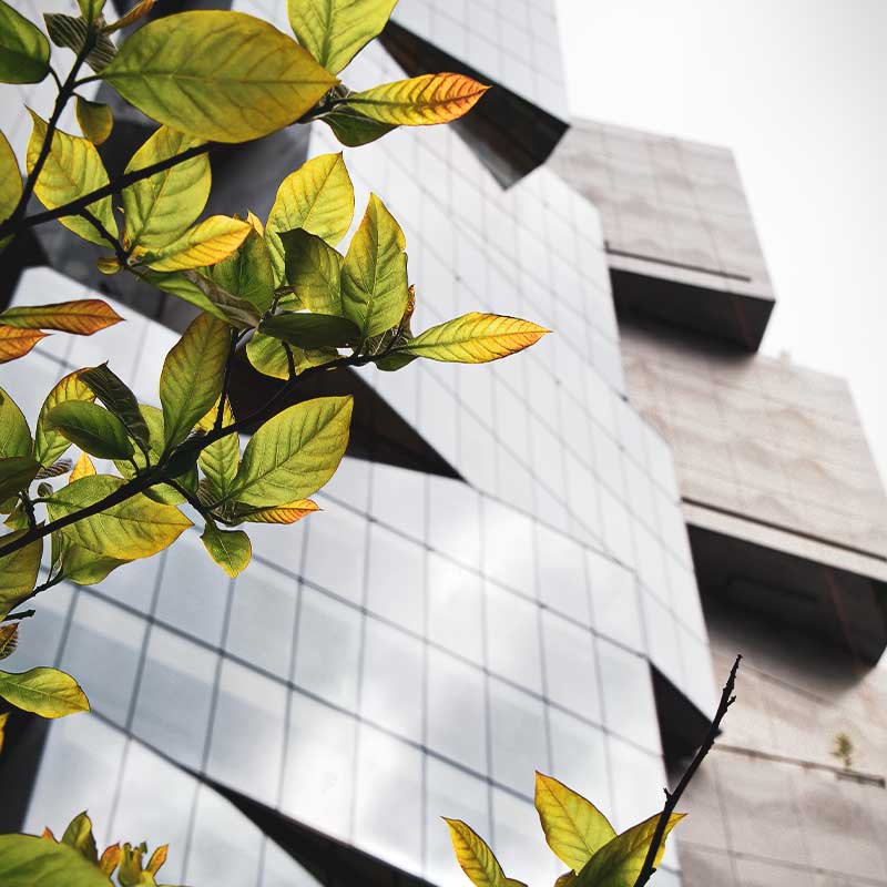 2-1-1-1-1-1 Главная